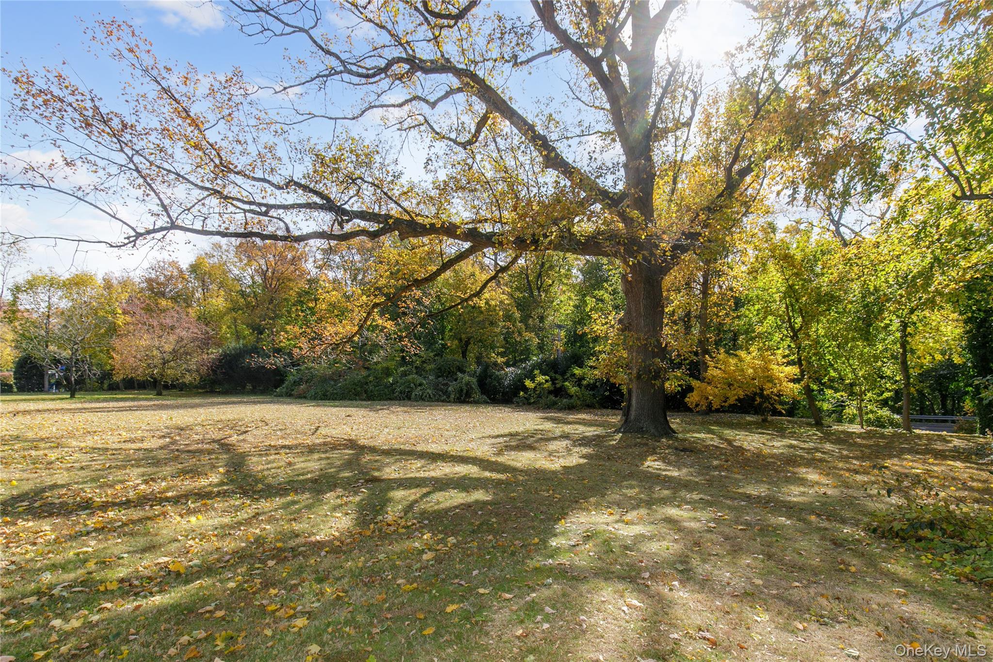 18 Lighthouse Road Kings Point, NY 11024 - Photo 28 of 36 a view of an outdoor space with yard