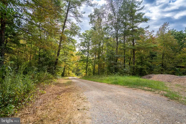 a view of dirt field with trees in the background