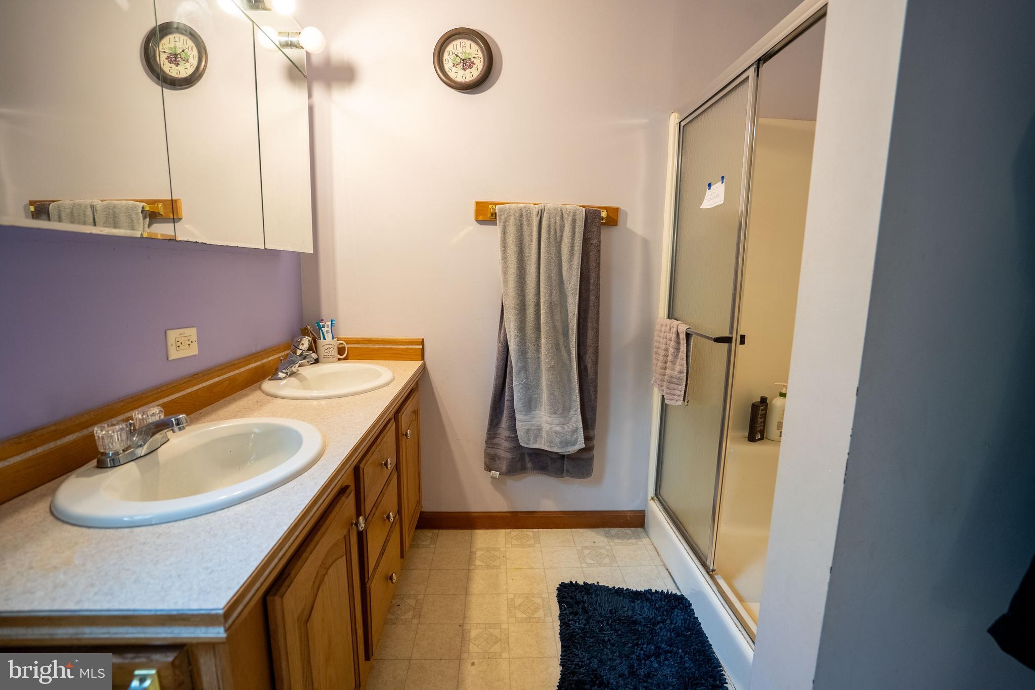 1950 Mesner Road Berkeley Springs, WV 25411 - Photo 20 of 34 a bathroom with a sink a mirror and a shower