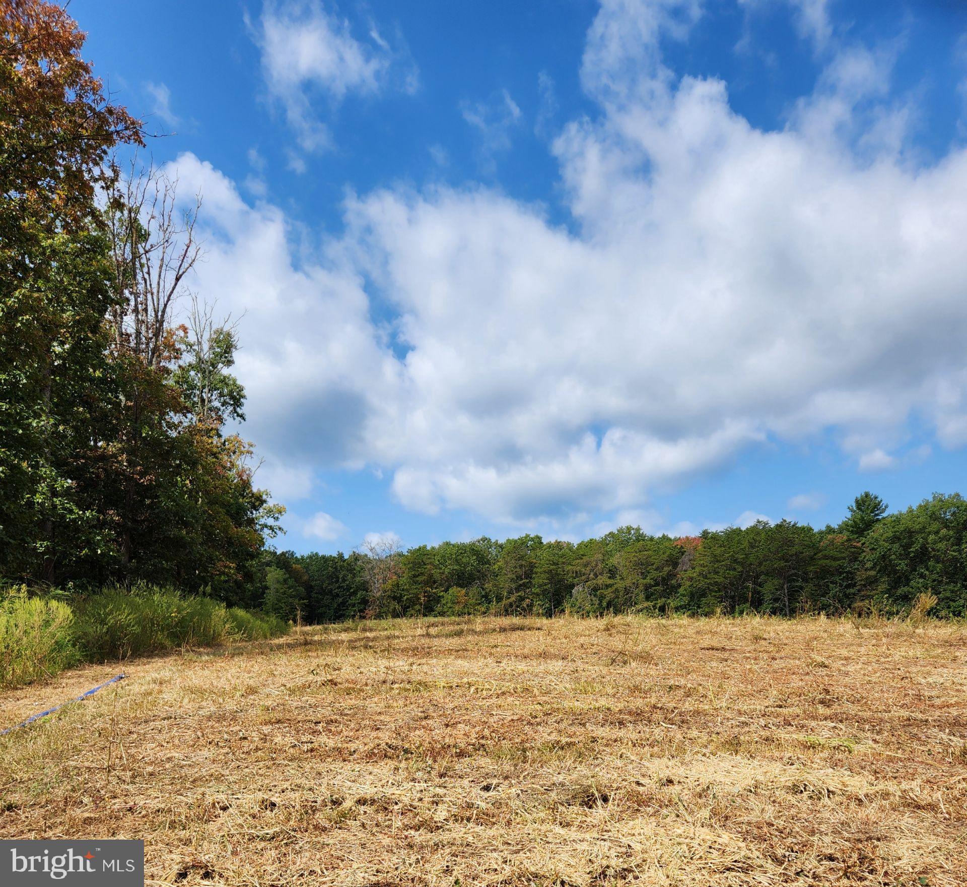 1950 Mesner Road Berkeley Springs, WV 25411 - Photo 30 of 34 a view of lake