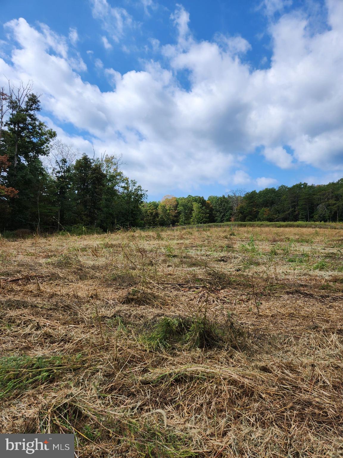 1950 Mesner Road Berkeley Springs, WV 25411 - Photo 5 of 34 a view of a lake view