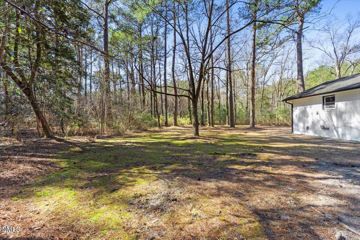 2501 Old Mill Road Rocky Mount, NC 27803 - Photo 34 of 41 a view of a house with a large tree