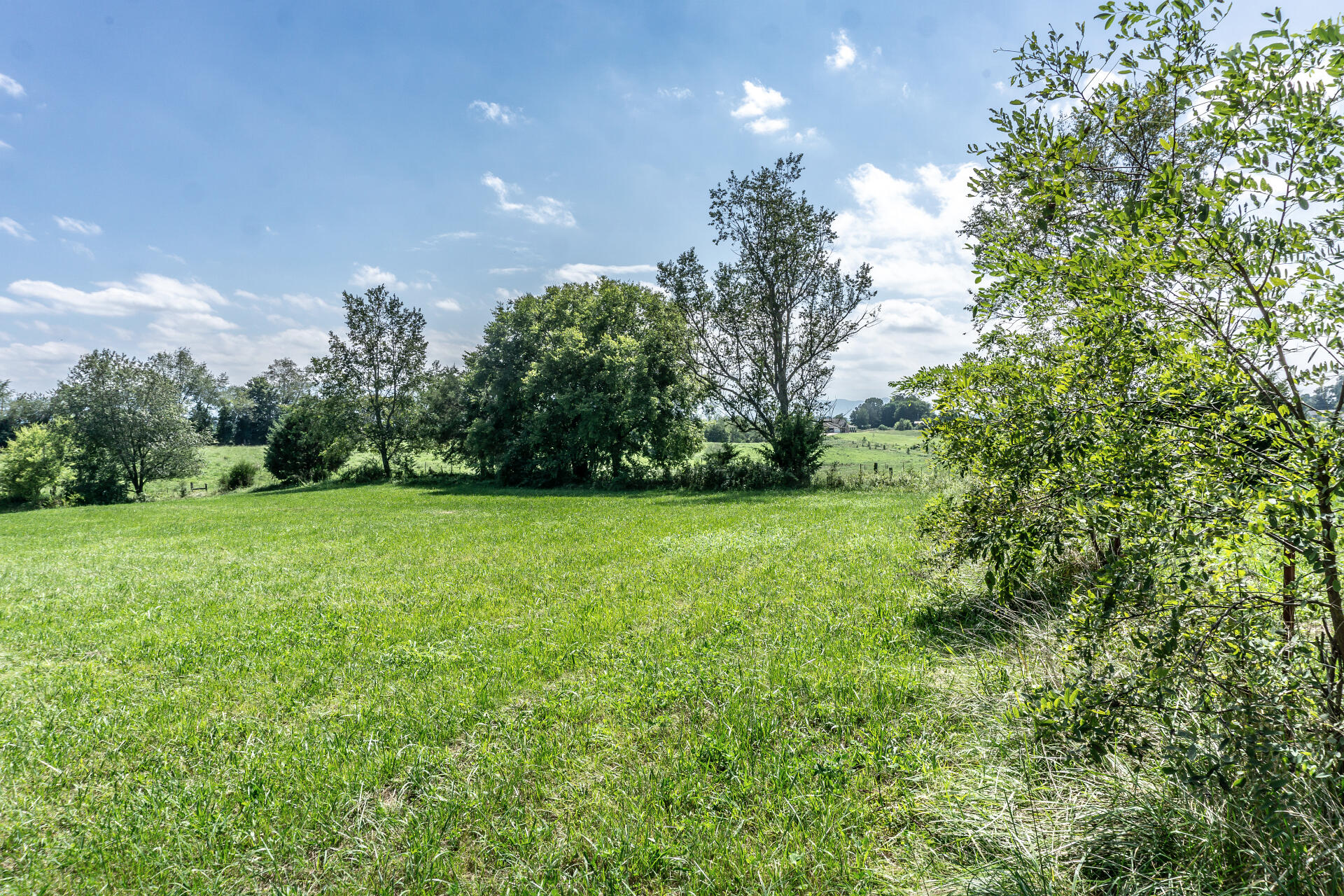 1.89-ac Stills Road, Unit 10 Greeneville, TN 37743 - Photo 4 of 16 StillsRdG_010