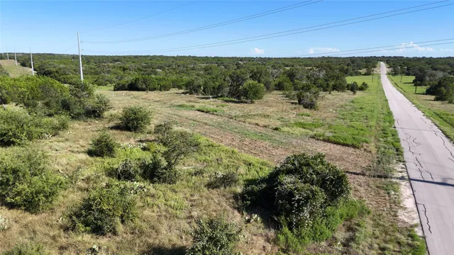 a view of a forest with a forest