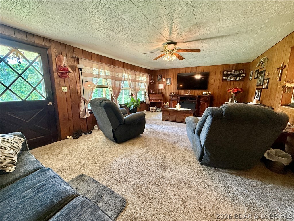 187 County Road Black, MO 63625 - Photo 14 of 50