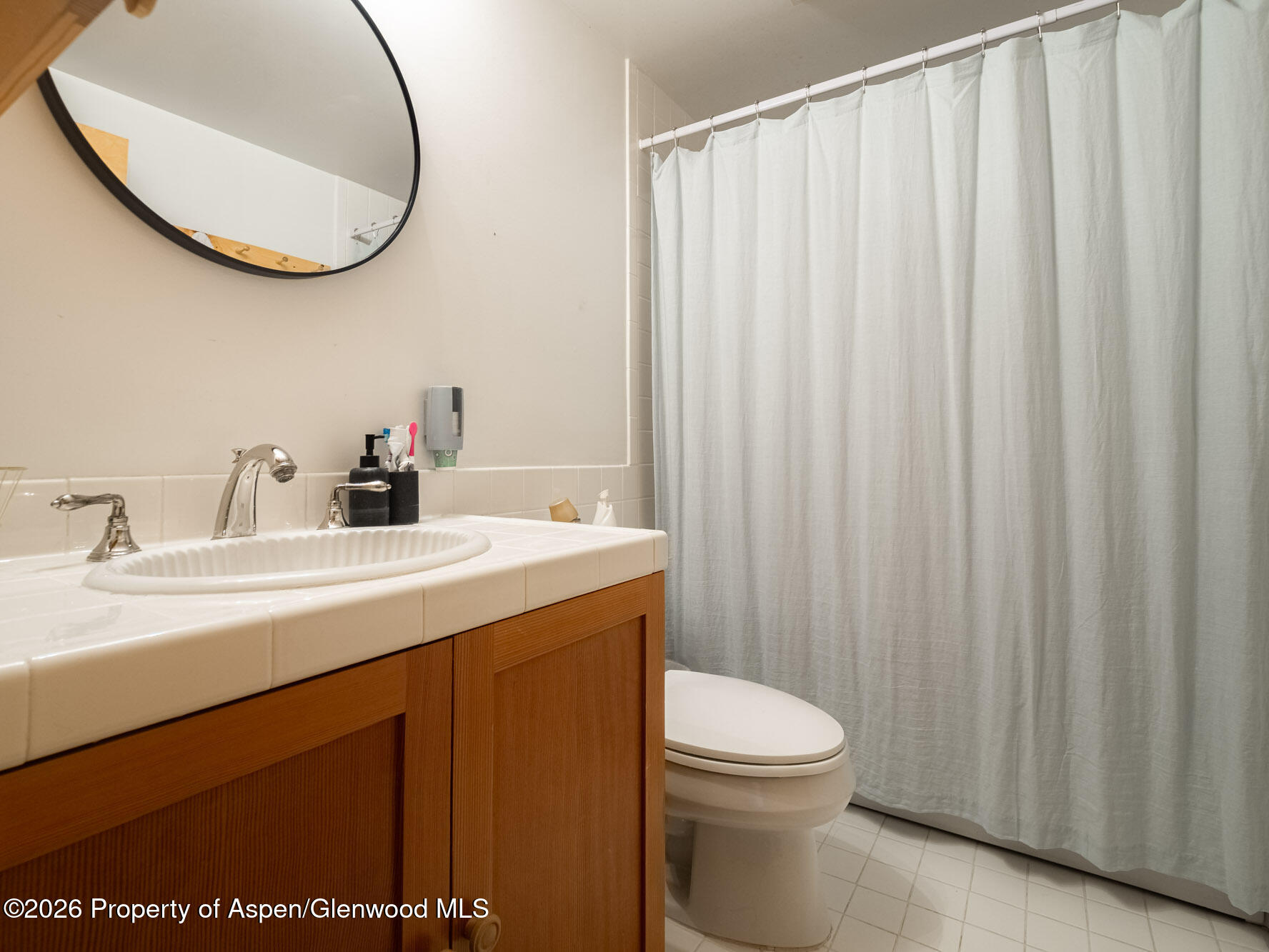 216 East Homestead Drive Basalt, CO 81621 - Photo 22 of 58 MLS - 216 E Homestead Drive - Basalt, CO