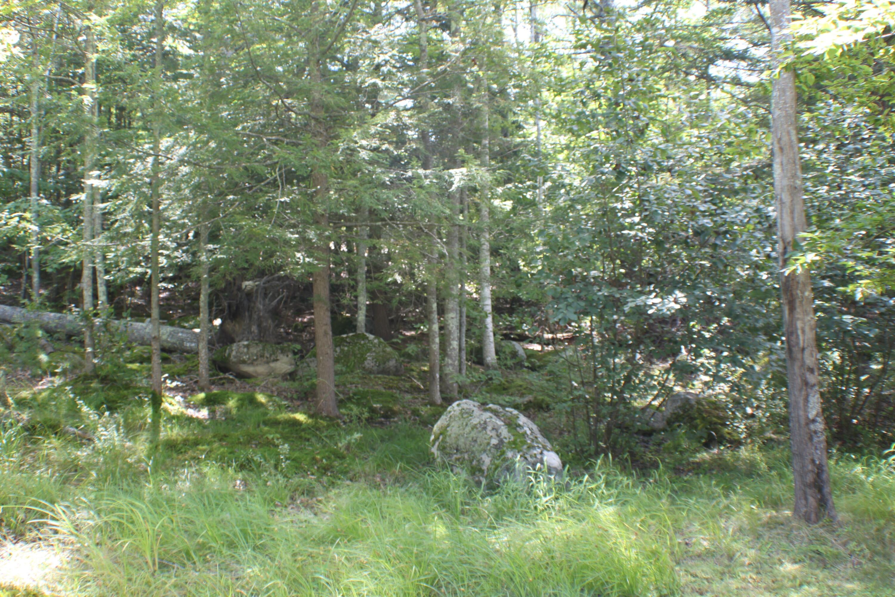 17 Emerald Point Drive Standish, ME 04084 - Photo 9 of 17 9