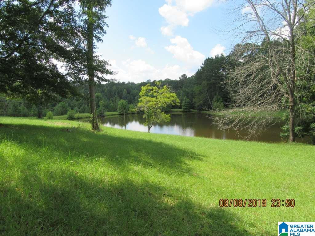 1791 Old Shocco Road Talladega, AL 35160 - Photo 6 of 22