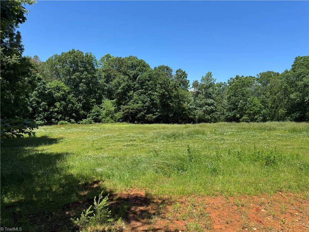 1065 Kiser Acres Road King, NC 27021 - Photo 12 of 18