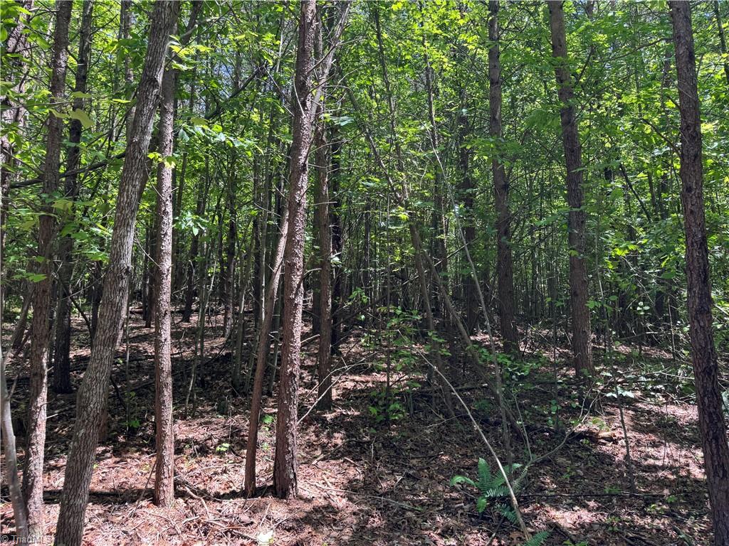 1065 Kiser Acres Road King, NC 27021 - Photo 14 of 18