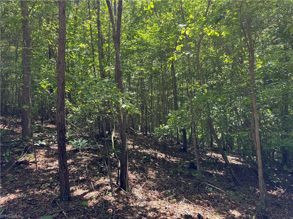 1065 Kiser Acres Road King, NC 27021 - Photo 15 of 18