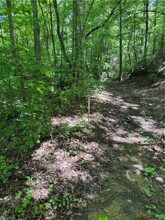 1065 Kiser Acres Road King, NC 27021 - Photo 16 of 18