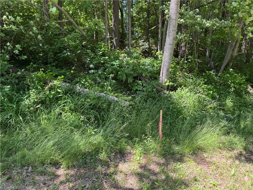 1065 Kiser Acres Road King, NC 27021 - Photo 17 of 18