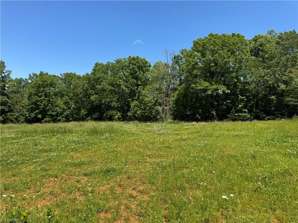 1065 Kiser Acres Road King, NC 27021 - Photo 6 of 18