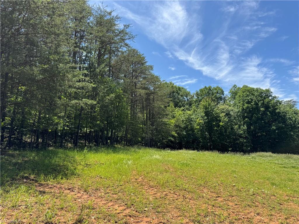 1065 Kiser Acres Road King, NC 27021 - Photo 7 of 18