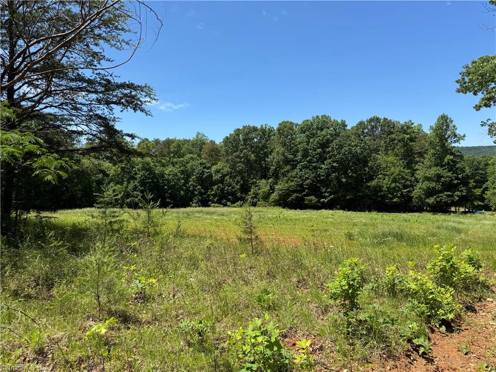 1065 Kiser Acres Road King, NC 27021 - Photo 9 of 18