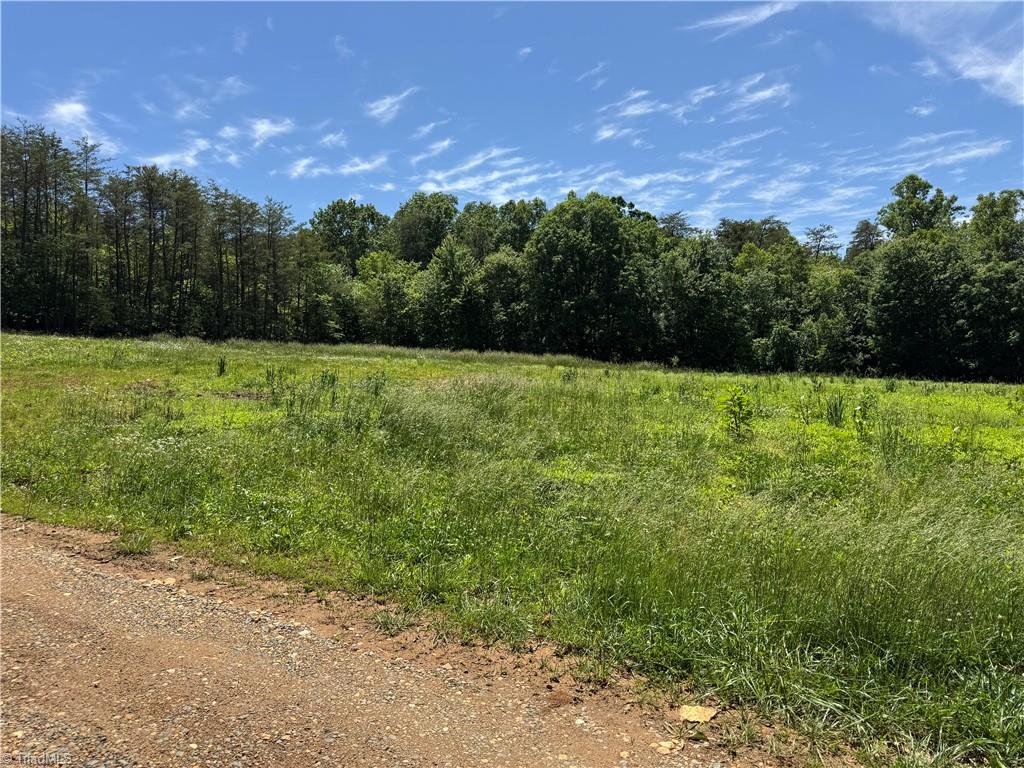 1065 Kiser Acres Road King, NC 27021 - Photo 10 of 18