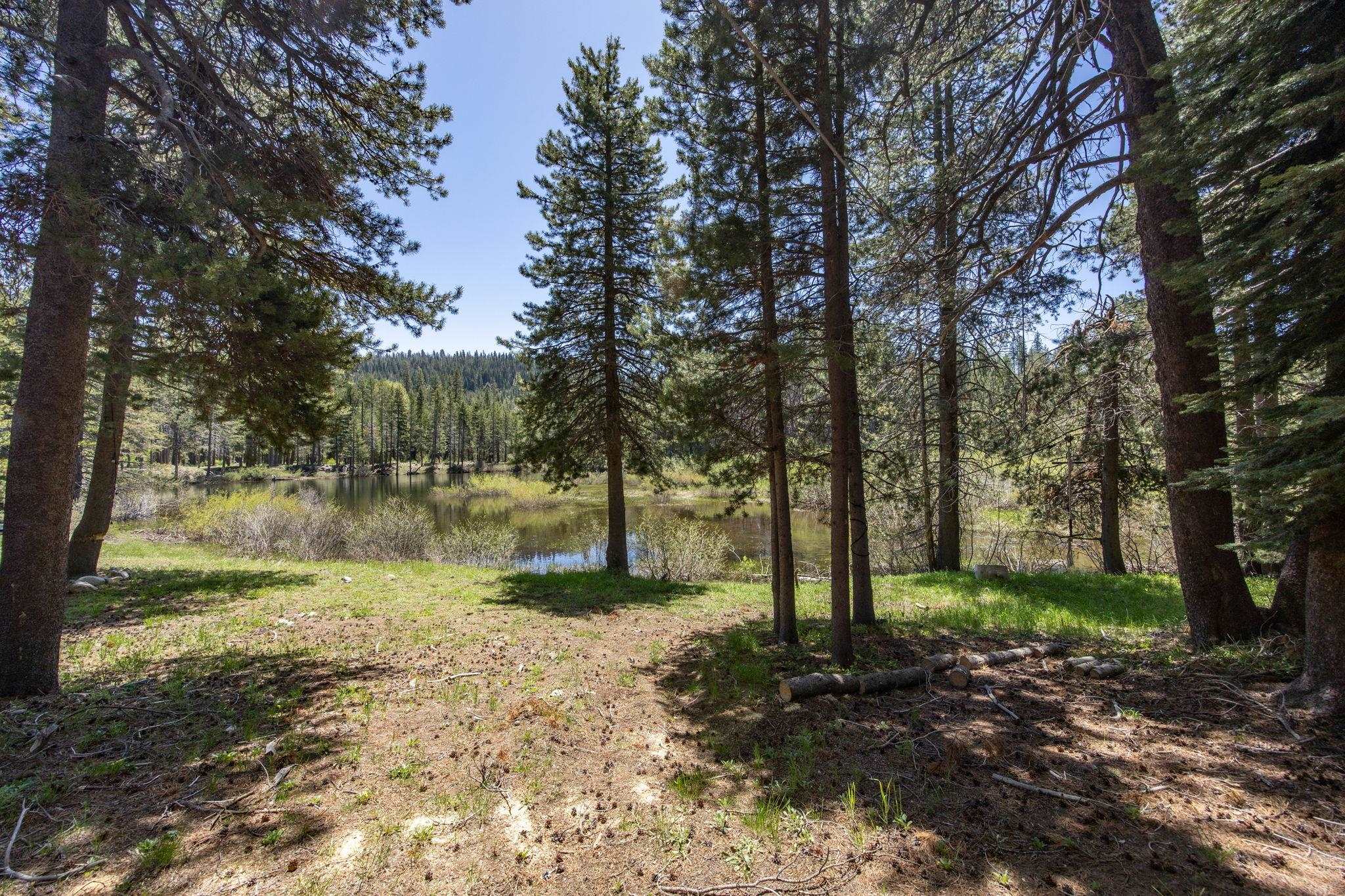 50689 Conifer Drive Soda Springs, CA 95728 - Photo 25 of 28 a view of lake with tree