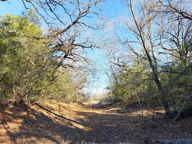 $449,000 | 0 Fm 2336, McDade, TX 78650