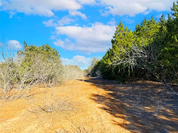 $449,000 | 0 Fm 2336, McDade, TX 78650