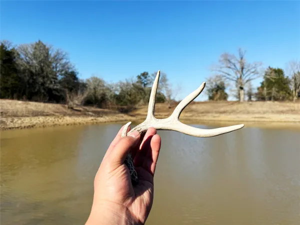 $449,000 | 0 Fm 2336, McDade, TX 78650