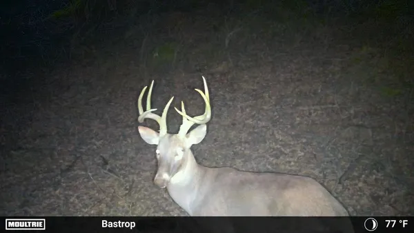 $449,000 | 0 Fm 2336, McDade, TX 78650