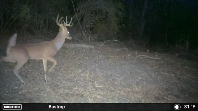 $449,000 | 0 Fm 2336, McDade, TX 78650