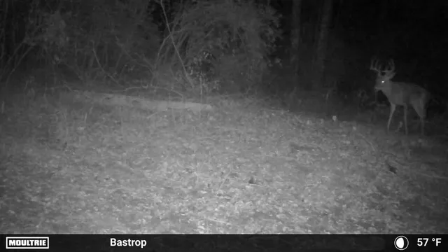 $449,000 | 0 Fm 2336, McDade, TX 78650