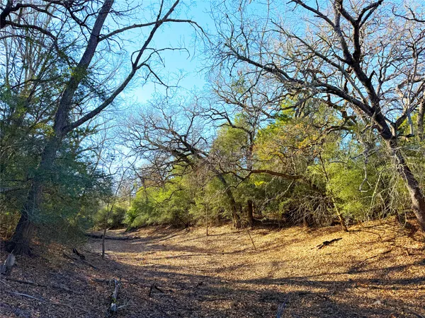 $449,000 | 0 Fm 2336, McDade, TX 78650