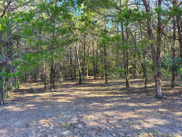 $449,000 | 0 Fm 2336, McDade, TX 78650
