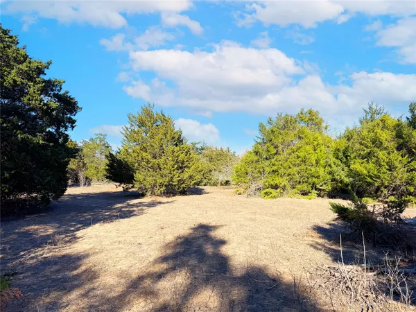 $449,000 | 0 Fm 2336, McDade, TX 78650