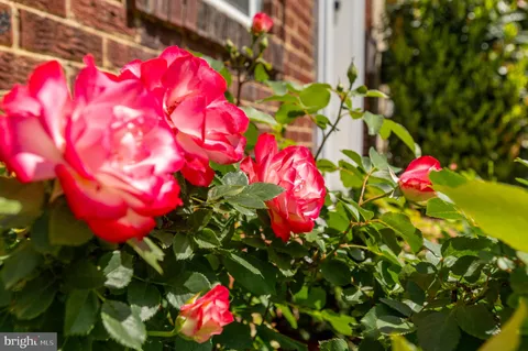 $1,000,000 | 414 East Bellefonte Avenue, Alexandria, VA 22301