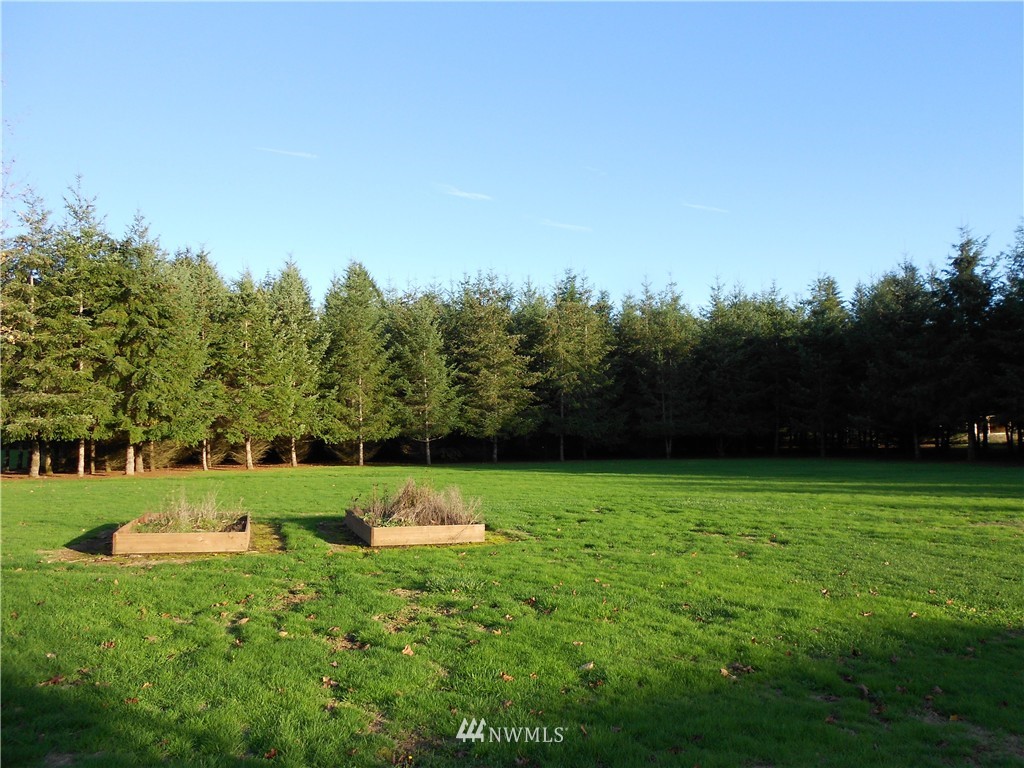 259 South Military Road Winlock, WA 98596 - Photo 4 of 25