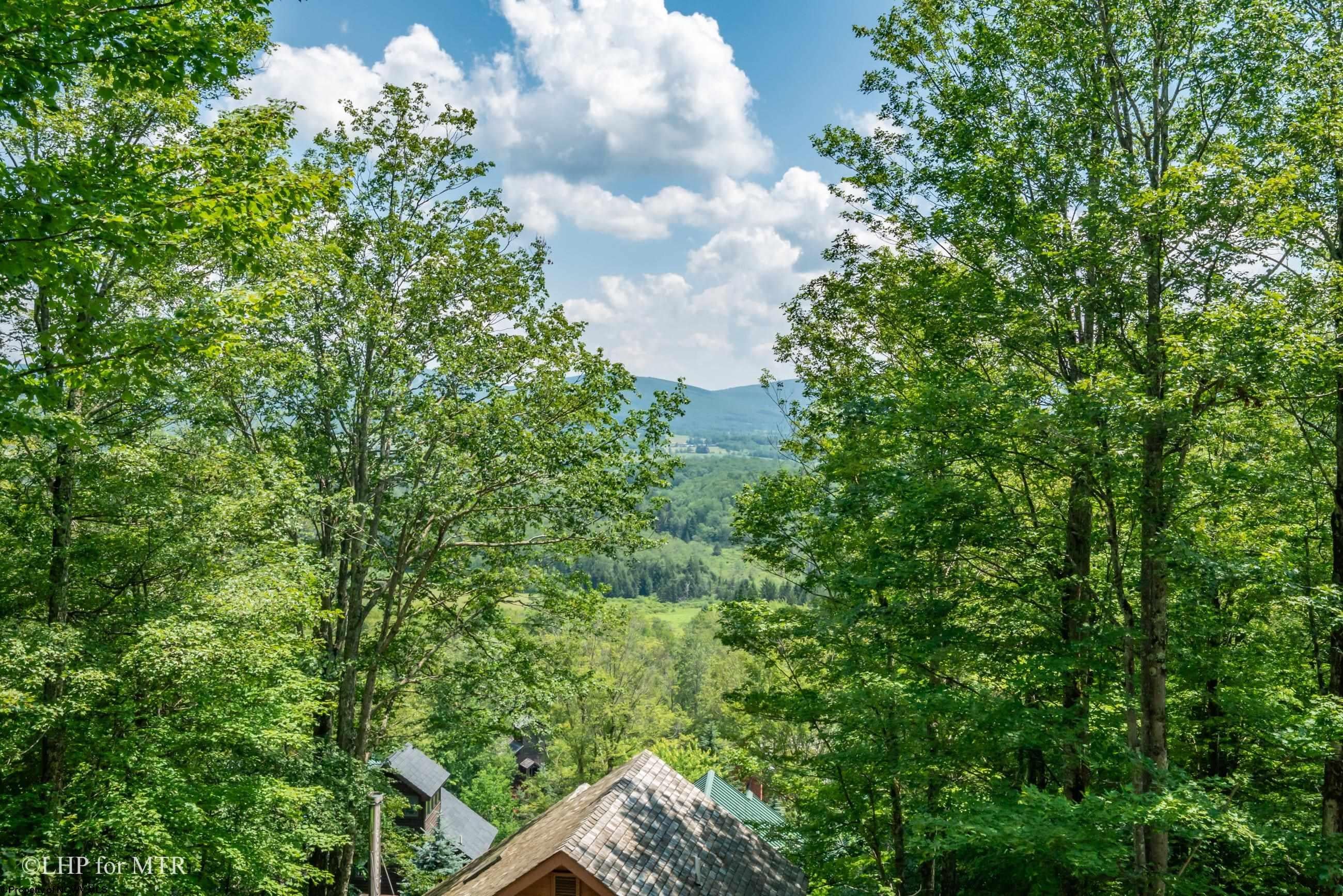119 Hikers Challenge Road Davis, WV 26260 - Photo 43 of 50 Gallery Image 43