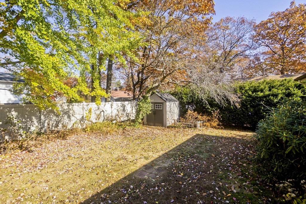 151 Bemis Road Holyoke, MA 01040 - Photo 42 of 42 a view of a yard with plants and trees