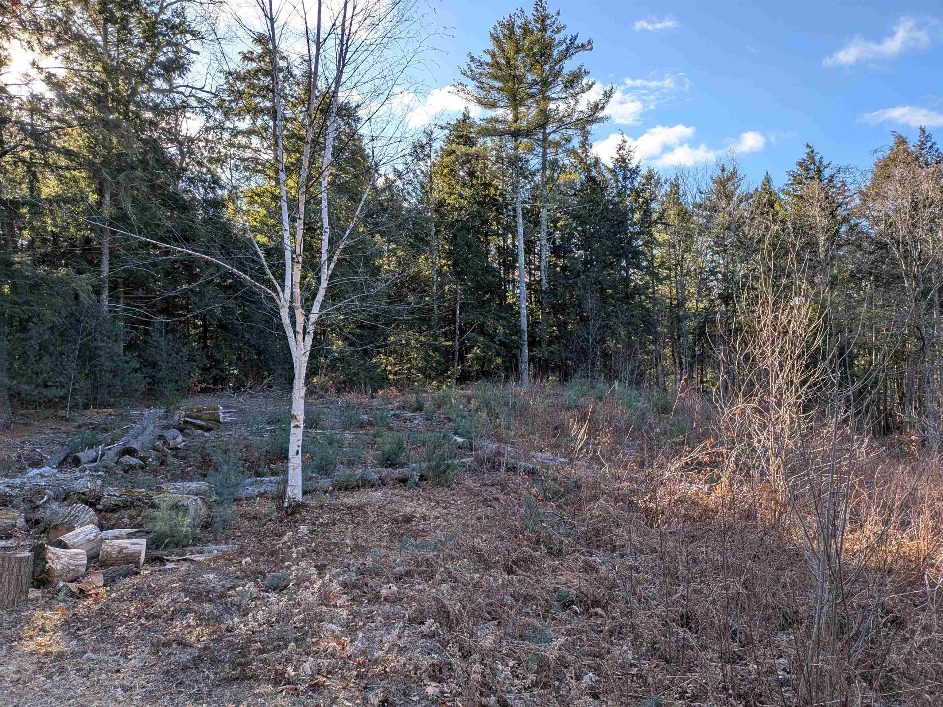 2-55 Caesars Road Mont Vernon, NH 03057 - Photo 2 of 18