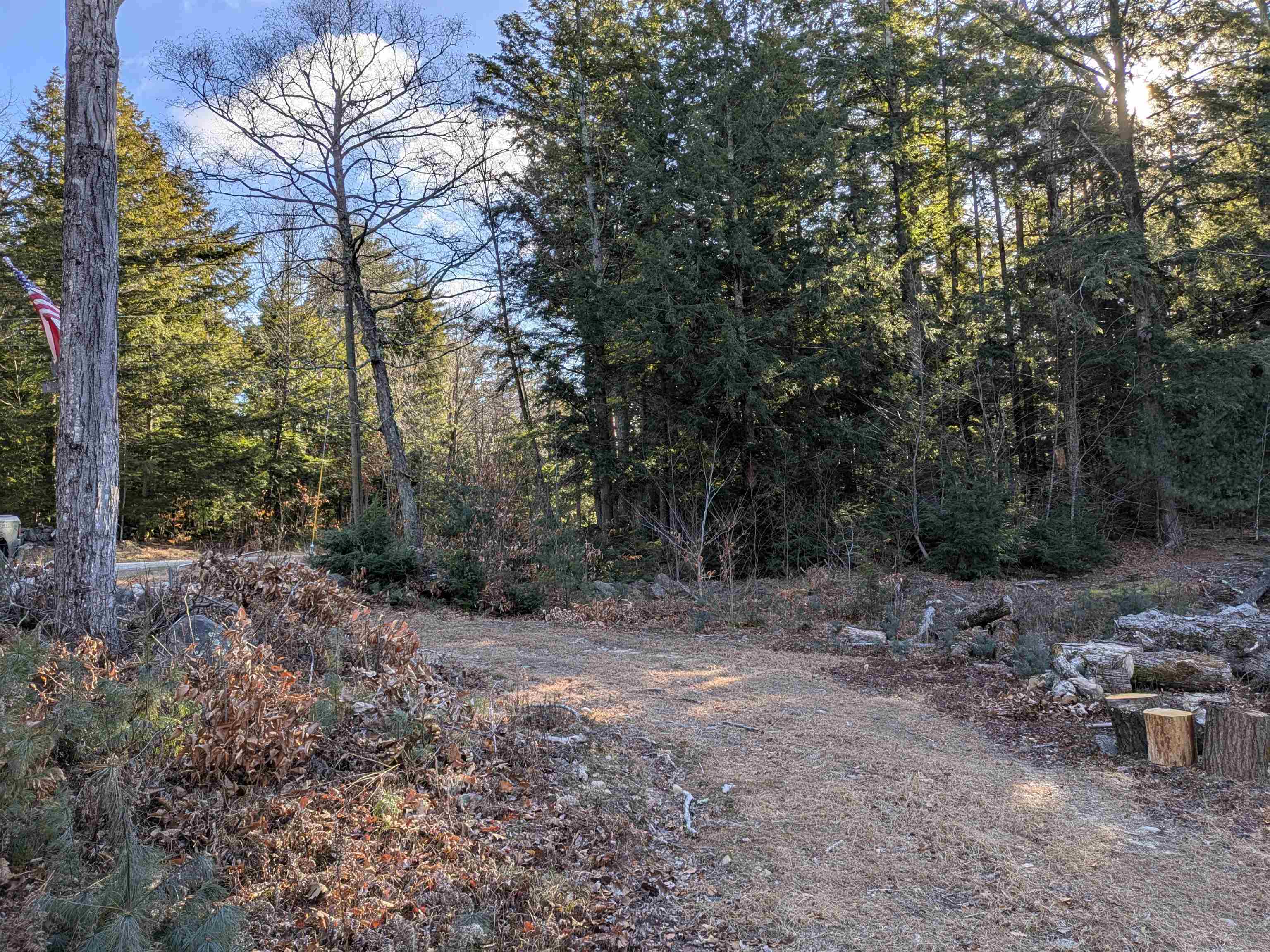 2-55 Caesars Road Mont Vernon, NH 03057 - Photo 3 of 18