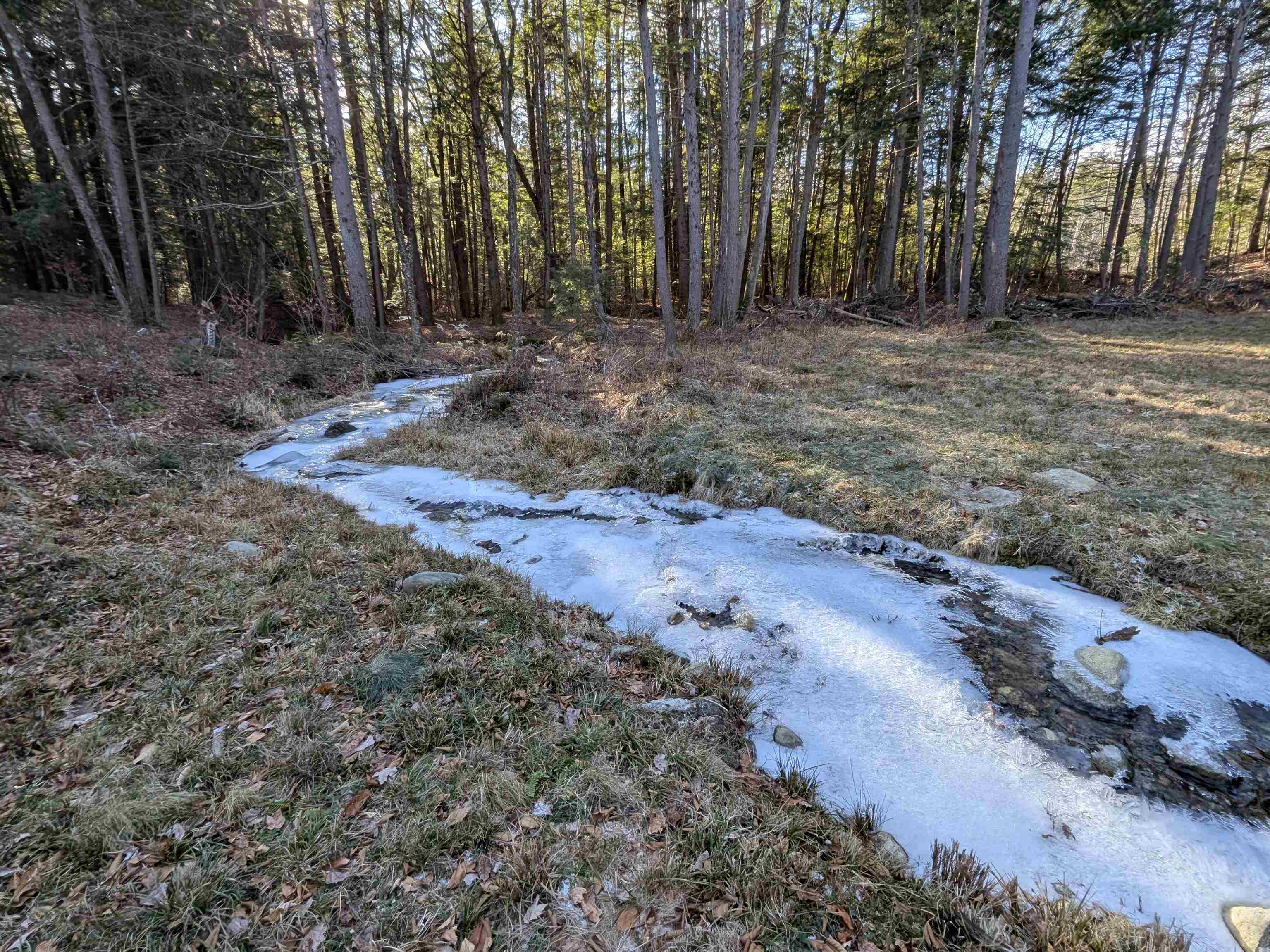 2-55 Caesars Road Mont Vernon, NH 03057 - Photo 4 of 18
