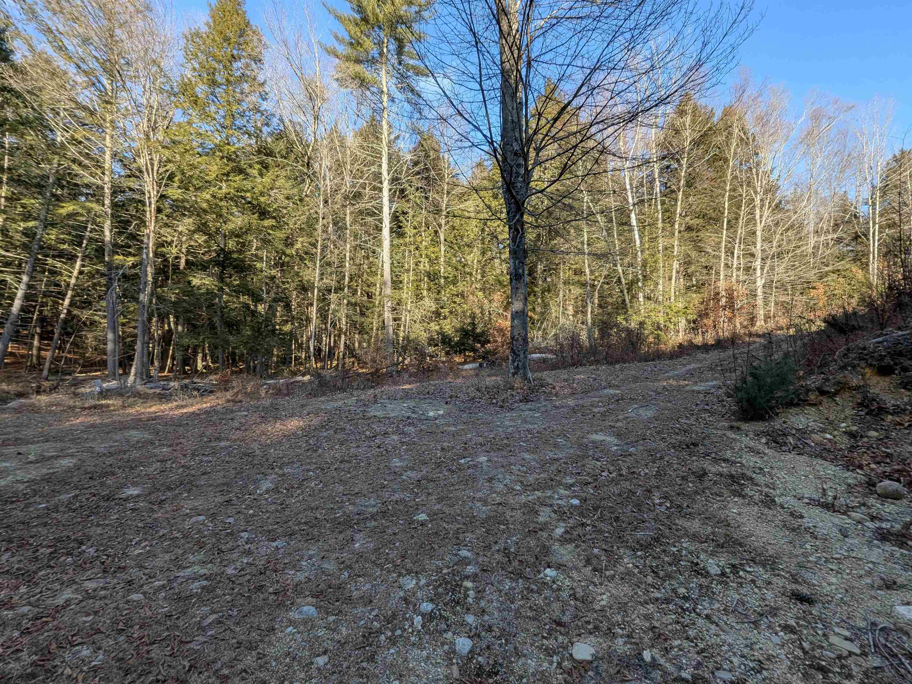 2-55 Caesars Road Mont Vernon, NH 03057 - Photo 8 of 18