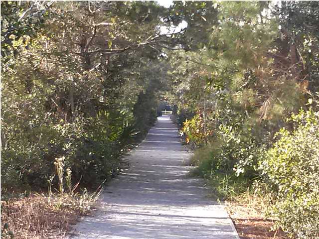 Y-3 Y-3 Lifeguard Loop Inlet Beach Inlet Beach, FL 32461 - Photo 5 of 12 a view of path along with trees