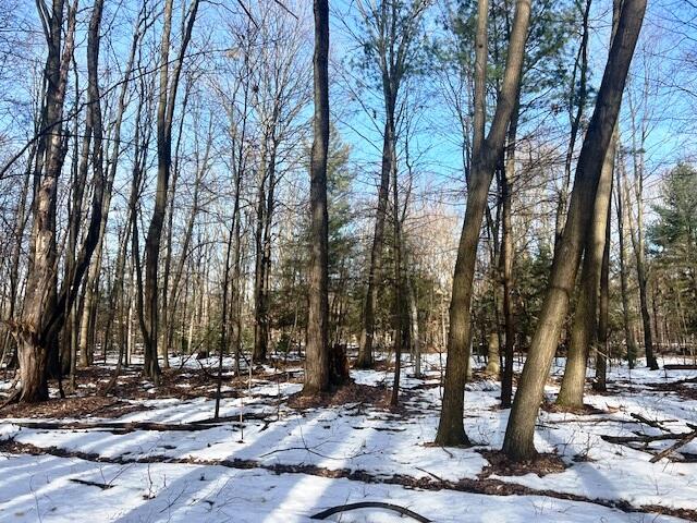 0 West Adams Road Hesperia, MI 49421 - Photo 56 of 74