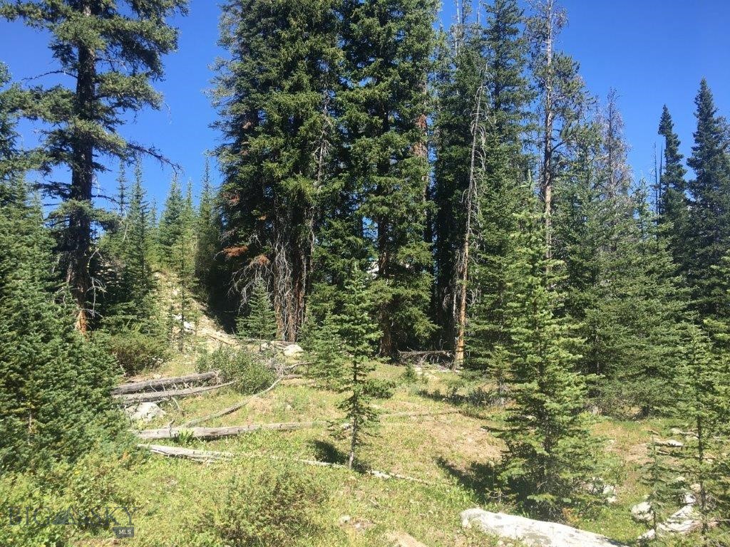 216 Trapper Creek Road Glen, MT 59732 - Photo 25 of 29 Gallery Image 25
