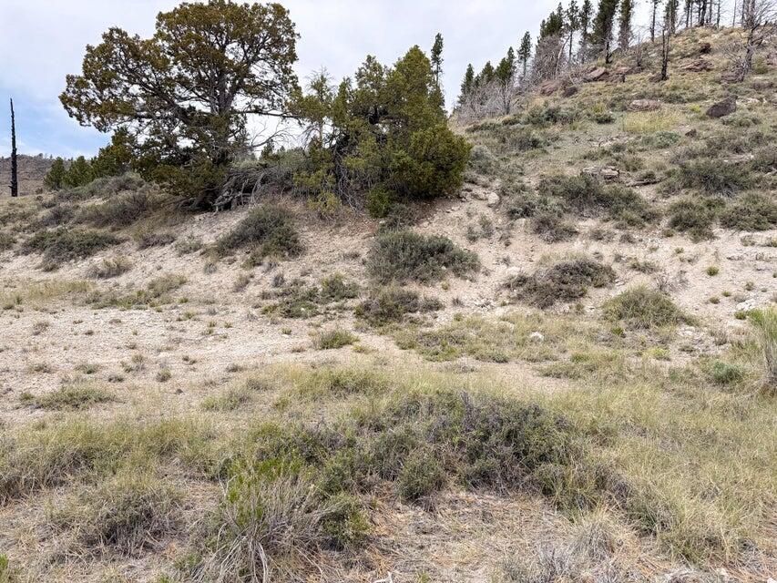 69 Forest Garden Hatch, UT 84735 - Photo 9 of 20 Lot 69 Forest Garden