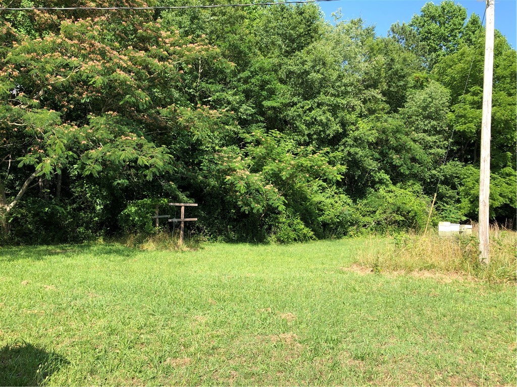 171 East Reedy Fork Road Seneca, SC 29678 - Photo 3 of 11 Gallery Image 3