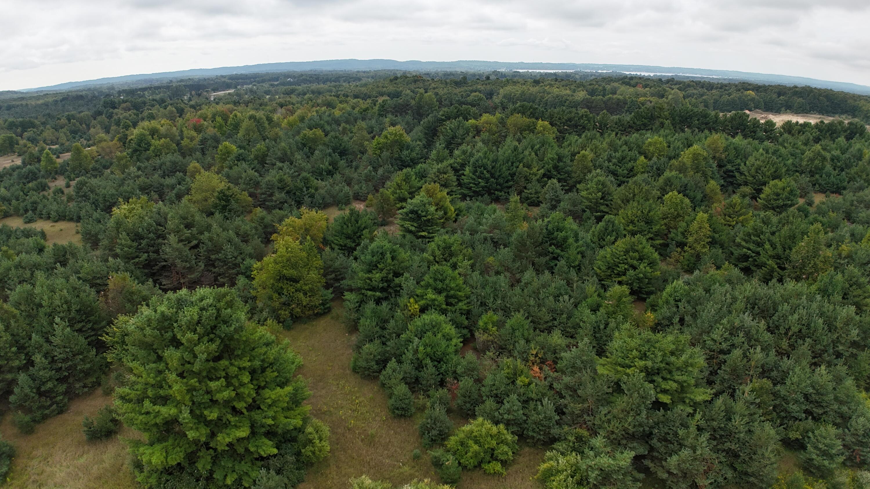 Lumley Road Bear Lake, MI 49614 - Photo 1 of 45 DJI_20250911115108_0037_D