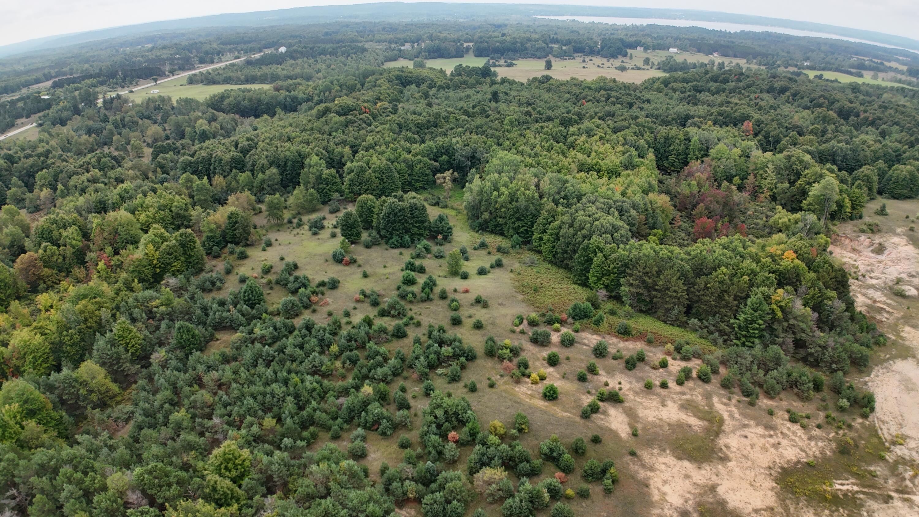 Lumley Road Bear Lake, MI 49614 - Photo 14 of 45 DJI_20250911115357_0055_D
