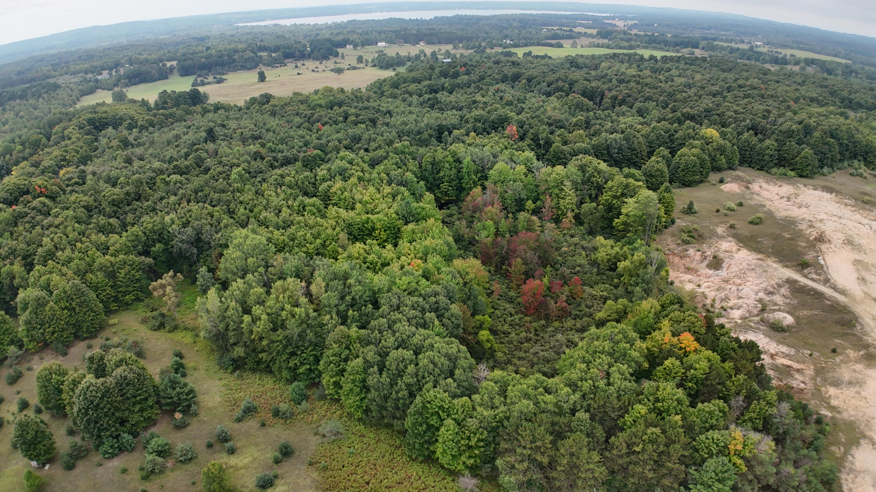 Lumley Road Bear Lake, MI 49614 - Photo 15 of 45 DJI_20250911115411_0056_D