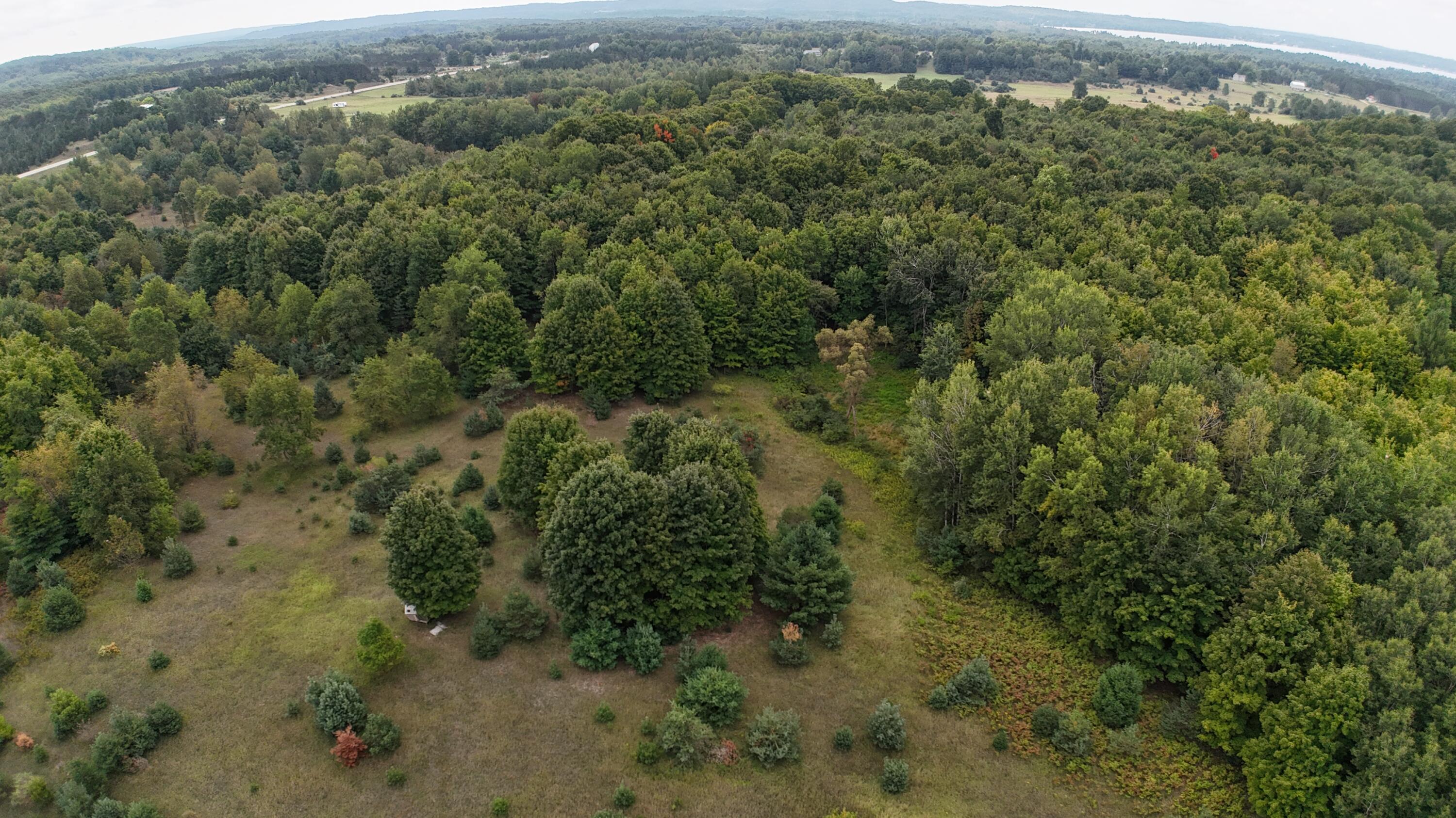 Lumley Road Bear Lake, MI 49614 - Photo 16 of 45 DJI_20250911115430_0058_D
