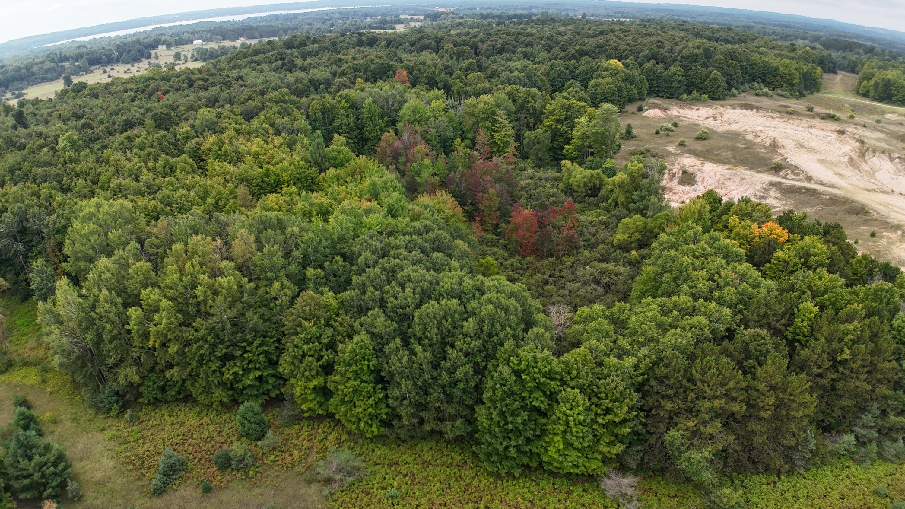 Lumley Road Bear Lake, MI 49614 - Photo 17 of 45 DJI_20250911115433_0059_D
