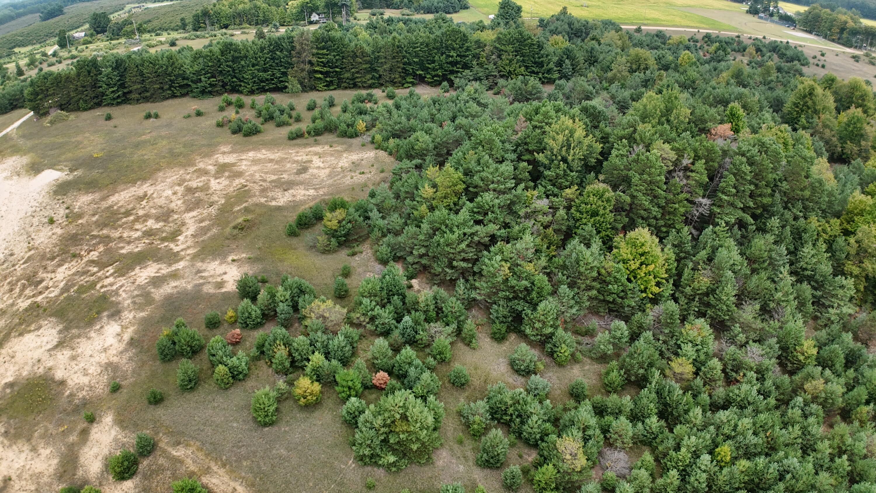 Lumley Road Bear Lake, MI 49614 - Photo 19 of 45 DJI_20250911115442_0062_D